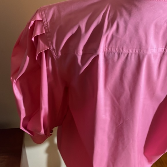Ralph Lauren Black Label Pink Puff Sleeve Button Down Blouse - Picture 5 of 6
